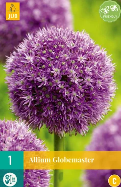 Bloembollen|Ecocheques|ohgreen 1 allium globemaster