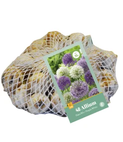 Bloembollen|Ecocheques|ohgreen 40 allium paars-wit