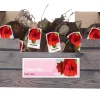 Bloembollen|Ecocheques|ohgreen 1 amaryllis rood