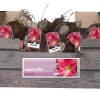 Bloembollen|Ecocheques|ohgreen 1 amaryllis roze