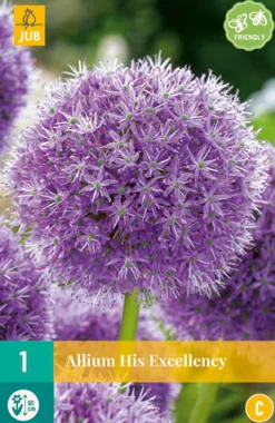 Bloembollen|Ecocheques|ohgreen 1 bloembol allium his excellency