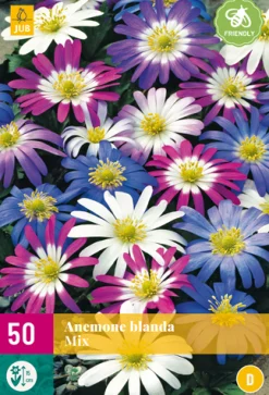 Bloembollen|Ecocheques|ohgreen 50 bloembollen anemone blanda mix
