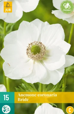 Bloembollen|Ecocheques|ohgreen 15 bloembollen anemone coronaria bride