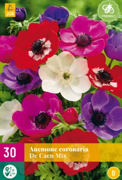Bloembollen|Ecocheques|ohgreen 30 bloembollen anemone de caen mix