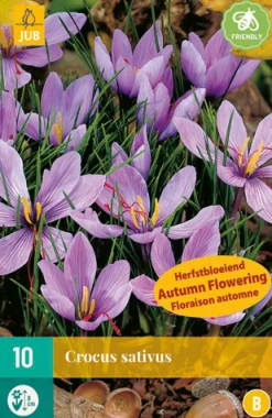 Bloembollen|Ecocheques|ohgreen 10 bloembollen crocus sativus