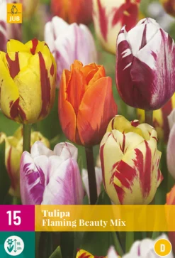 Bloembollen|Ecocheques|ohgreen 15 bloembollen tulipa flaming beauty mix