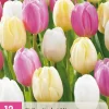 Bloembollen|Ecocheques|ohgreen 12 bloembollen tulipa sorbet mix