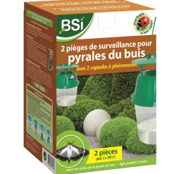 Insecten|ohgreen 2 buxusmottenvallen en 2 feromooncapsules