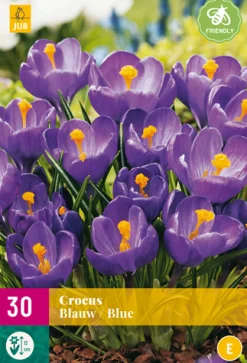 Bloembollen|Ecocheques|ohgreen 30 crocus blauw