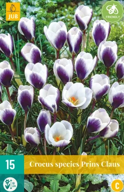 Bloembollen|Ecocheques|ohgreen 15 crocus prins claus