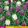 Bloembollen|Ecocheques|ohgreen 30 fritillaria meleagris mix
