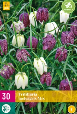 Bloembollen|Ecocheques|ohgreen 30 fritillaria meleagris mix