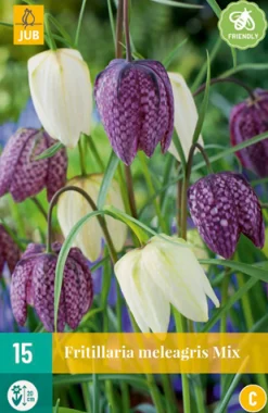 Bloembollen|Ecocheques|ohgreen 15 fritillaria meleagris mix
