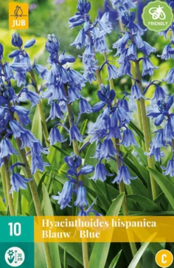 Bloembollen|Ecocheques|ohgreen 10 hyacinthoides hisp. blauw