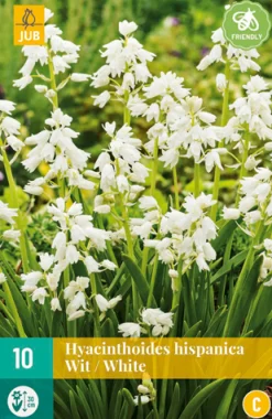 Bloembollen|Ecocheques|ohgreen 10 hyacinthoides hisp. wit