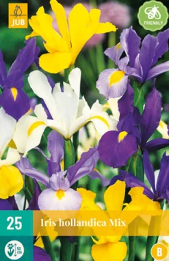 Bloembollen|Ecocheques|ohgreen 25 iris hollandica mix