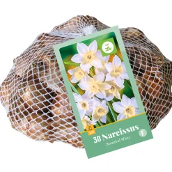 Bloembollen|Ecocheques|ohgreen 30 narcissus botanisch wit