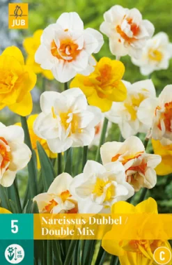 Bloembollen|Ecocheques|ohgreen 5 narcissus dubbel mix