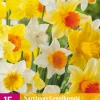 Bloembollen|Ecocheques|ohgreen 15 narcissus grootkronig mix