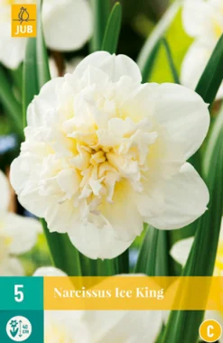Bloembollen|Ecocheques|ohgreen 5 narcissus ice king
