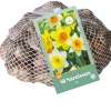Bloembollen|Ecocheques|ohgreen 40 narcissus mix