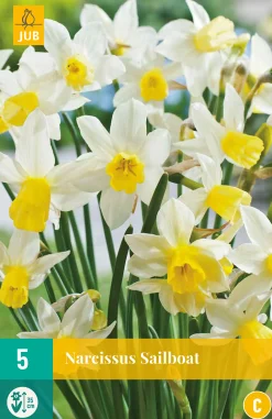 Bloembollen|Ecocheques|ohgreen 5 narcissus sailboat