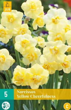 Bloembollen|Ecocheques|ohgreen 5 narcissus yellow cheerfulness