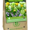 Bloembollen|Ecocheques|ohgreen 1 tas folklore tim