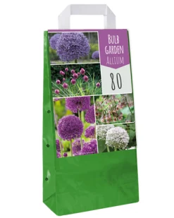 Bloembollen|Ecocheques|ohgreen 1 tas met 80 bollen bulb garden allium