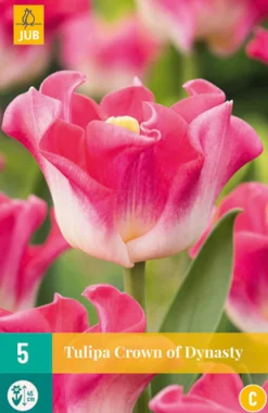 Bloembollen|Ecocheques|ohgreen 5 tulipa crown of dynasty