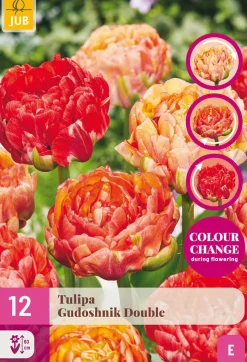 Bloembollen|Ecocheques|ohgreen 12 tulipa gudushnik double