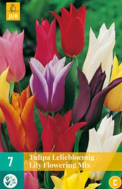 Bloembollen|Ecocheques|ohgreen 7 tulipa leliebloemig mix