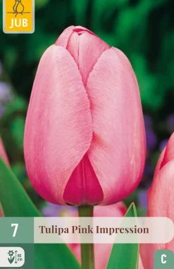 Bloembollen|Ecocheques|ohgreen 7 tulipa pink impression