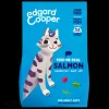 Kat Voeding|ohgreen Adult Brokjes Zalm 2kg