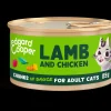 Kat Voeding|ohgreen Adult lam&kip in saus 85g