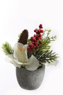 Kerstdecoratie|ohgreen Amaryllis arrangement in pot