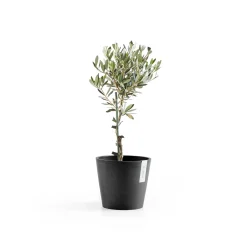 Kunststof|Ecocheques|ohgreen Amsterdam 20cm donkergrijs met waterreservoir