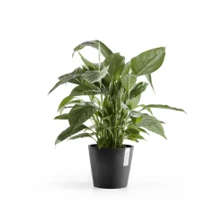 Kunststof|Ecocheques|ohgreen Amsterdam 20cm donkergrijs met waterreservoir