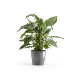 Kunststof|Ecocheques|ohgreen Amsterdam 20cm grijs met waterreservoir