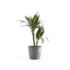 Kunststof|Ecocheques|ohgreen Amsterdam 20cm grijs met waterreservoir