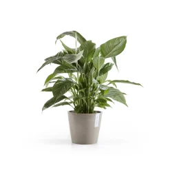 Kunststof|Ecocheques|ohgreen Amsterdam 20cm taupe met waterreservoir