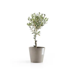 Kunststof|Ecocheques|ohgreen Amsterdam 20cm taupe met waterreservoir