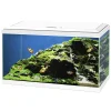 Aquaria|ohgreen Aquarium aqua 60 led bio cf150