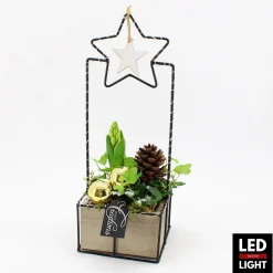 Najaar|Ecocheques|ohgreen Arrangement Hyacinth in houd led