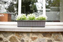 Kunststof|Ecocheques|ohgreen Balkonbak Super 50 cm Antraciet