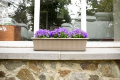 Kunststof|Ecocheques|ohgreen Balkonbak Super 50 cm Taupe