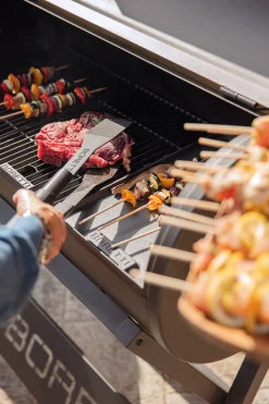 Accessoires En Onderhoud|ohgreen Barbecue tang compact