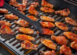 Accessoires En Onderhoud|ohgreen BARBECUEKWAST