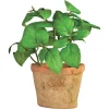 Ecocheques|Potten En Vazen|ohgreen Basilicum in pot