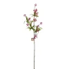 Sfeermakers|Herfst|ohgreen Bessentak